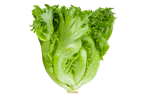 Whole Foods Market, Romaine Hearts Salad Bag Organic